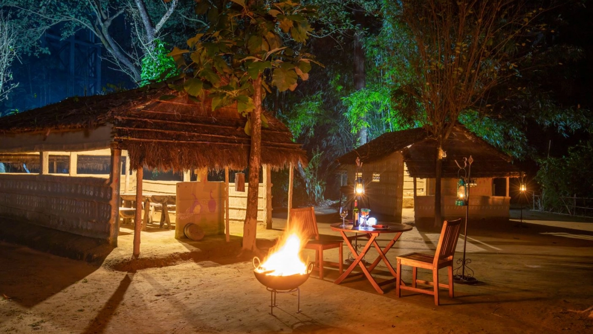 2 nights Jungle Safari