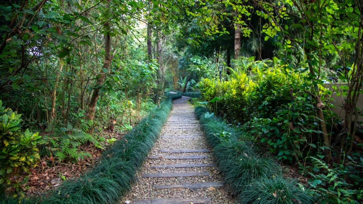 2 nights Jungle Safari