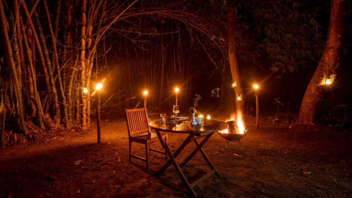 2 nights Jungle Safari